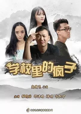 学校里的疯子第5季海报