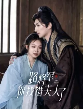 路将军你找错夫人了海报