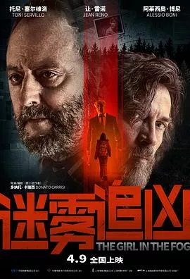 迷雾追凶【影视解说】海报