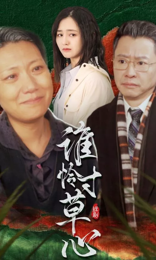 谁怜寸草心海报
