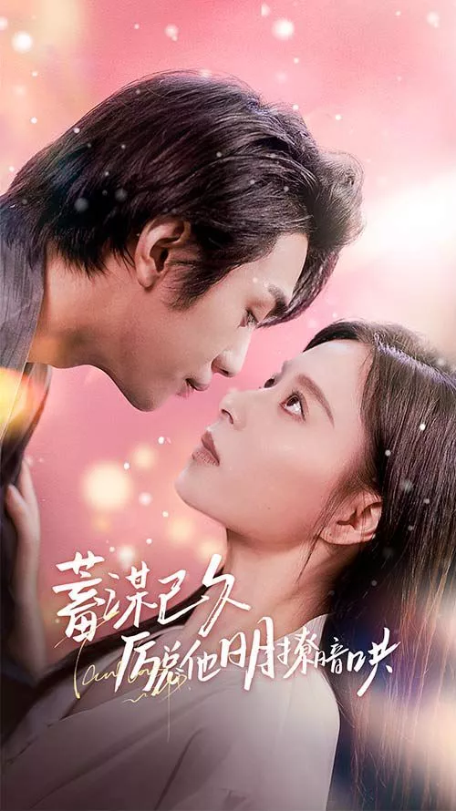 蓄谋已久历总他明撩暗哄（历总夫人她又跑了）海报