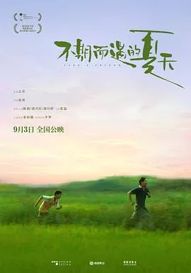 不期而遇的夏天【影视解说】海报