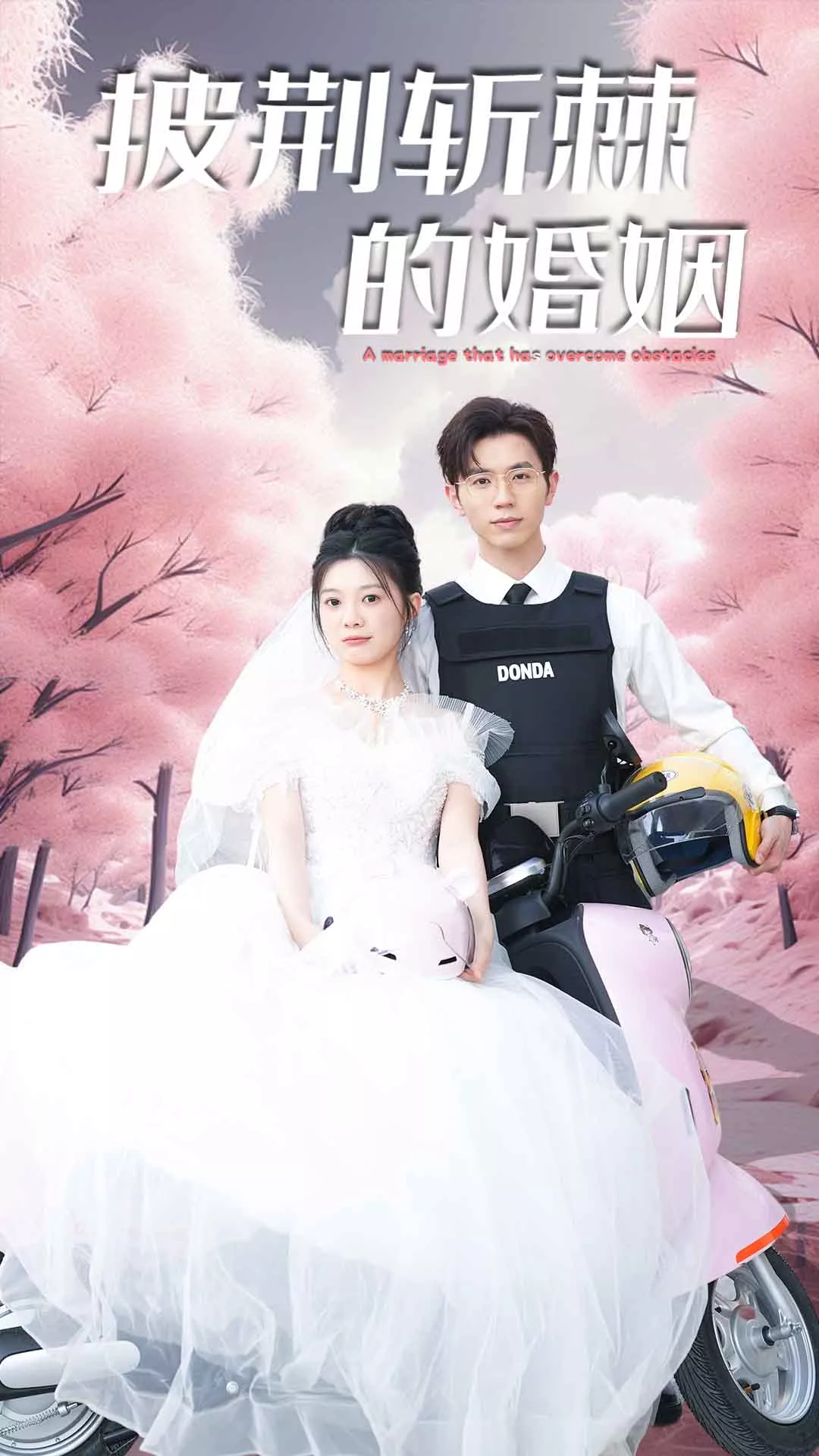 新版：披荆斩棘的婚姻海报