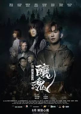 酿魂【影视解说】海报
