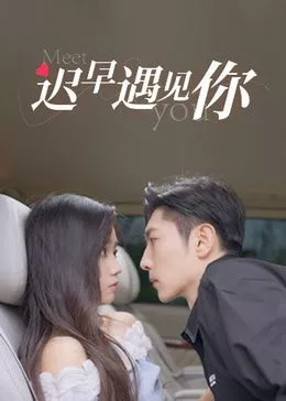 迟早遇见你海报