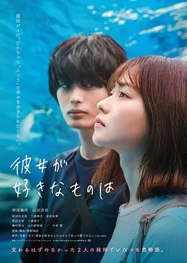她喜欢的是【影视解说】海报