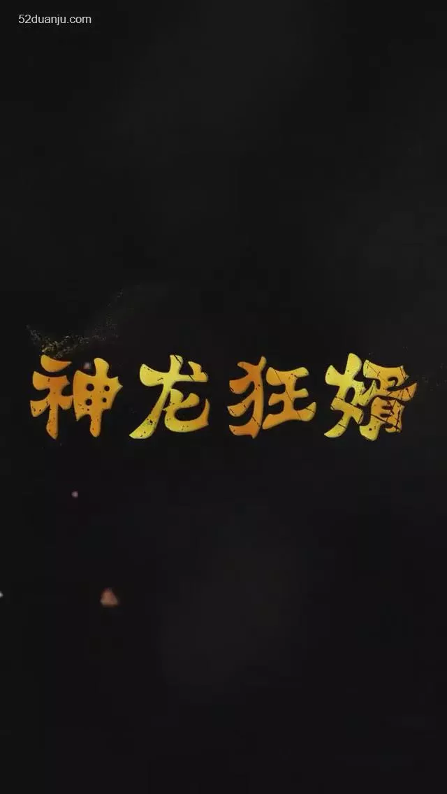 神龙狂婿海报