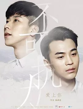 不可抗力爱上你[电影解说]海报