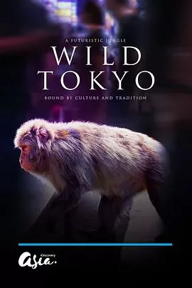 狂野东京海报