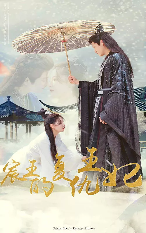 宸王的复仇王妃海报