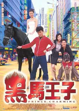 黑马王子【影视解说】海报