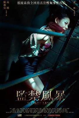 监禁风暴【影视解说】海报