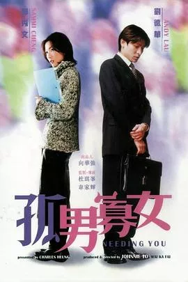 孤男寡女【影视解说】海报