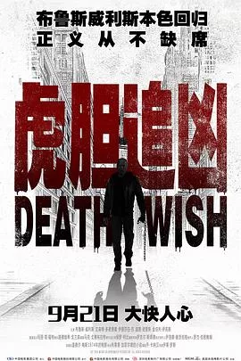 虎胆追凶国语海报