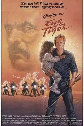 虎之眼海报