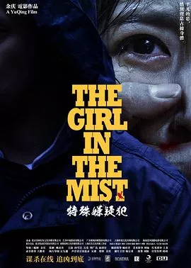 特殊嫌疑犯【影视解说】海报