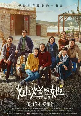 灿烂的她【影视解说】海报