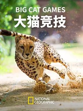 大猫竞技海报