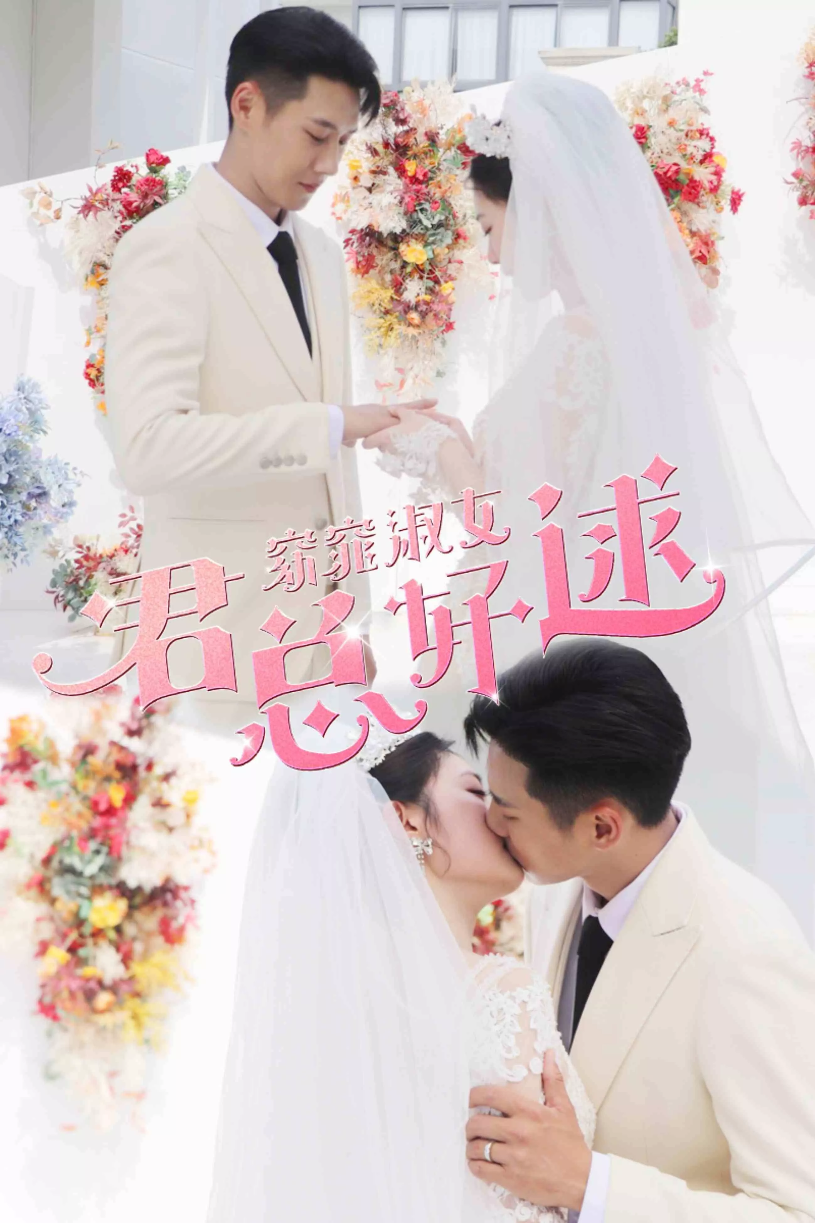 窈窕淑女，君总好逑海报