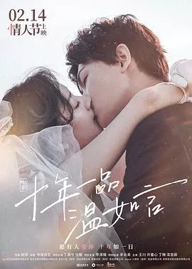十年一品温如言【影视解说】海报