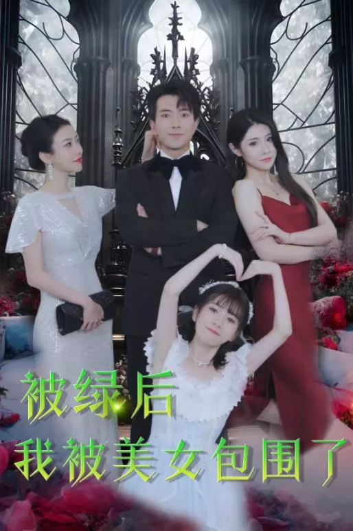 被绿后我被美女包围了海报