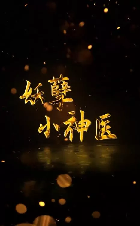 回村小伙是侠医海报