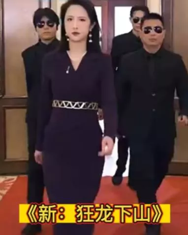 新九州狂龙海报