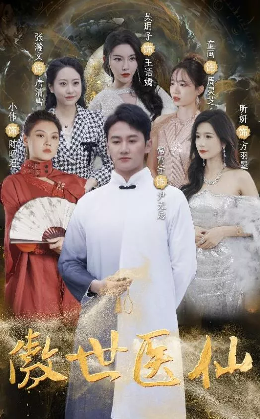 傲视医仙海报