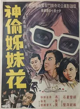 神偷姊妹花粤语海报