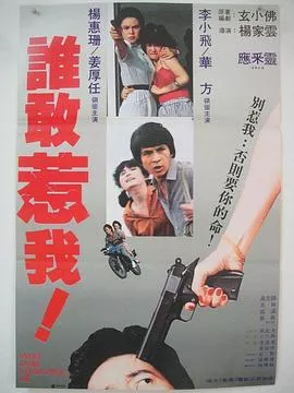 谁敢惹我海报