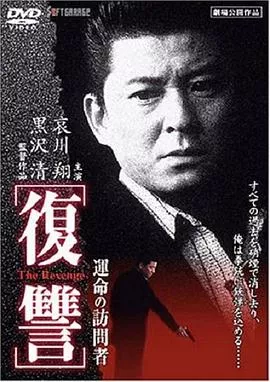 复仇：命运的访问者海报