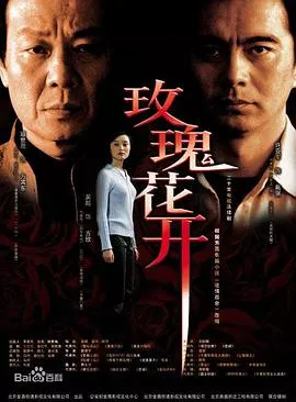 玫瑰花开海报