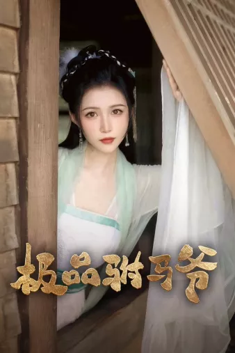 极品驸马爷海报