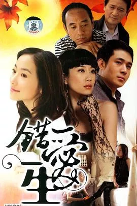 错爱一生海报