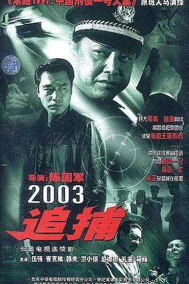 追捕2003海报