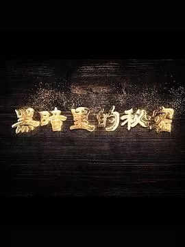 黑暗里的秘密海报