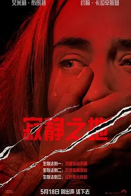寂静之地[电影解说]海报