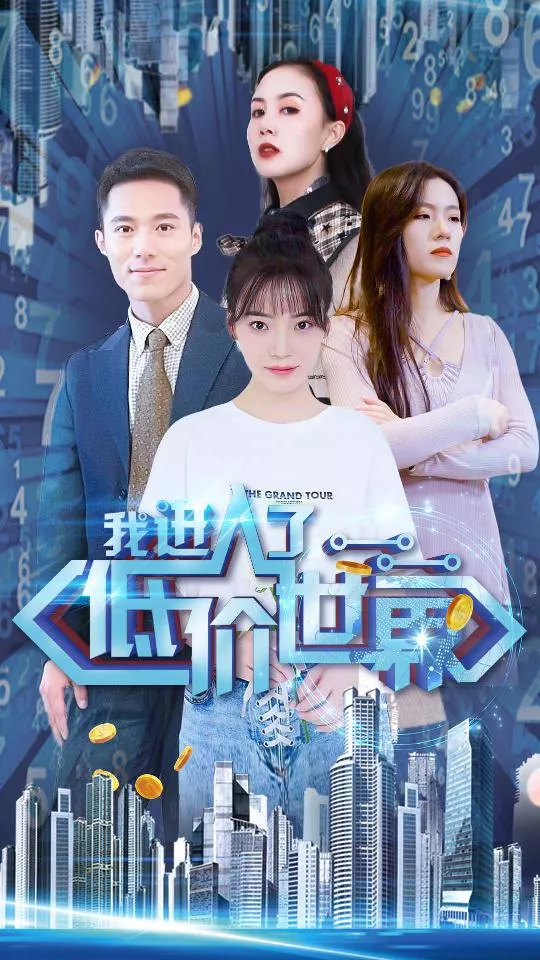 我进入了低价世界海报