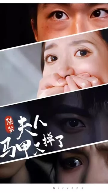 陆爷，夫人马甲又掉了海报