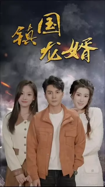 镇国龙婿海报