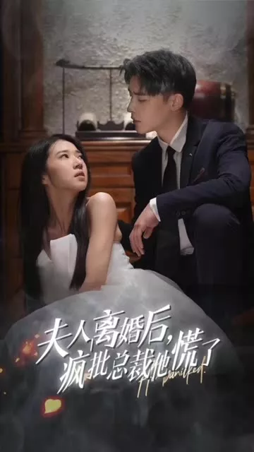 夫人离婚后，疯批总裁他慌了&顾总的女仆悲妻海报