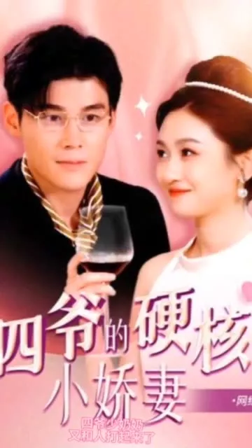 四爷，夫人又和人打起来了&四爷的硬核小娇妻&夫人她是个小作精海报