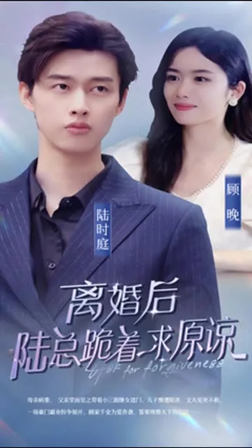 离婚后，陆总跪着求原谅海报