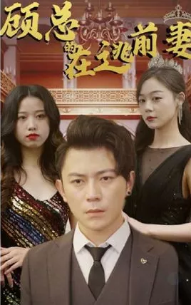 顾总的在逃前妻海报