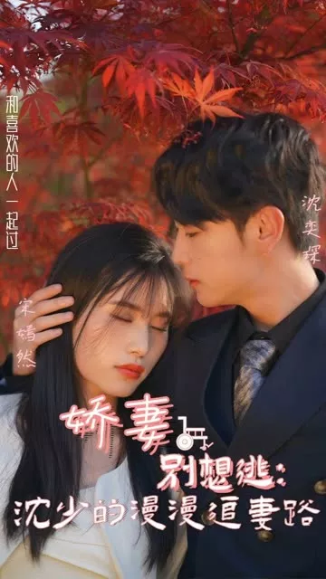 娇妻别想逃：沈少的漫漫追妻路海报