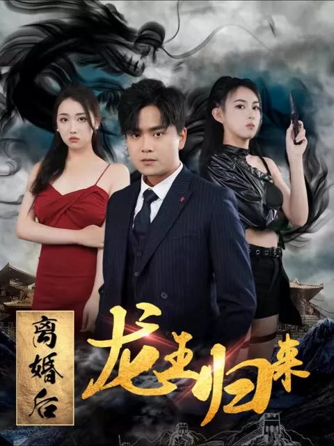 离婚后龙王归来海报