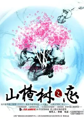 山楂树之恋2011海报
