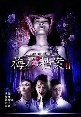 梅花档案2海报