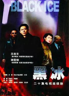 黑冰王志文版海报