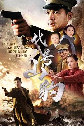 代号山豹海报